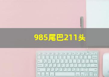 985尾巴211头