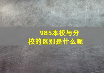 985本校与分校的区别是什么呢