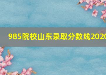 985院校山东录取分数线2020