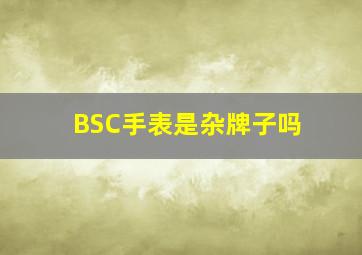 BSC手表是杂牌子吗