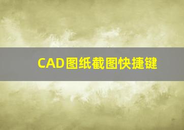 CAD图纸截图快捷键