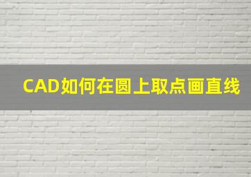 CAD如何在圆上取点画直线