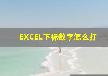 EXCEL下标数字怎么打