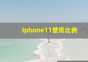 Iphone11壁纸比例