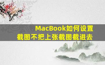 MacBook如何设置截图不把上张截图截进去