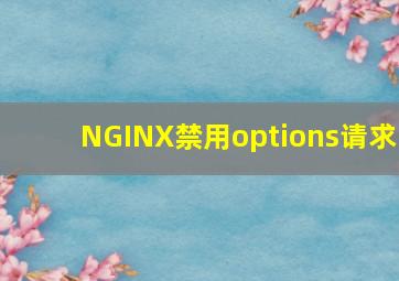 NGINX禁用options请求