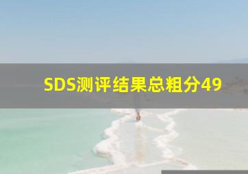 SDS测评结果总粗分49