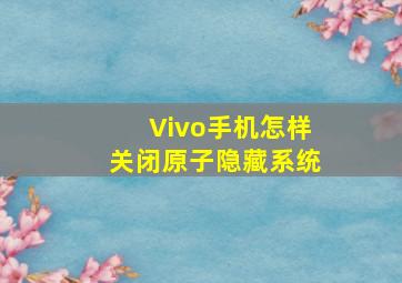 Vivo手机怎样关闭原子隐藏系统