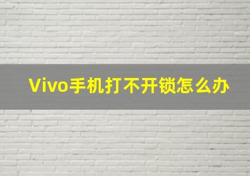 Vivo手机打不开锁怎么办