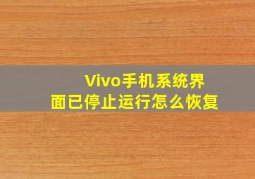 Vivo手机系统界面已停止运行怎么恢复