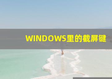 WINDOWS里的截屏键