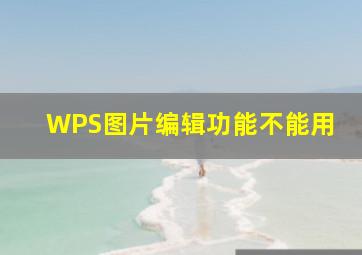 WPS图片编辑功能不能用