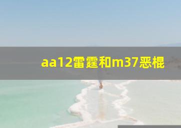 aa12雷霆和m37恶棍