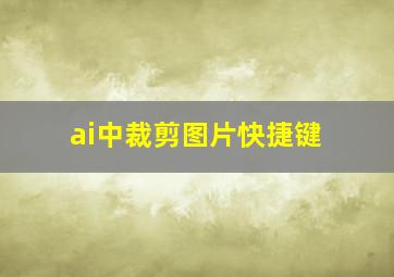 ai中裁剪图片快捷键