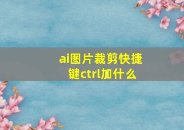 ai图片裁剪快捷键ctrl加什么