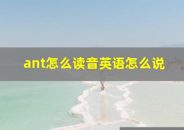 ant怎么读音英语怎么说