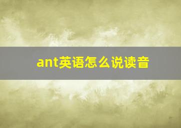 ant英语怎么说读音