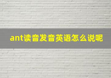 ant读音发音英语怎么说呢