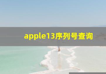 apple13序列号查询