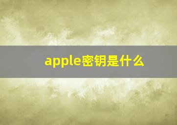 apple密钥是什么