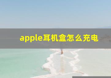 apple耳机盒怎么充电