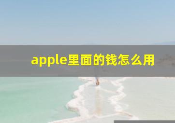 apple里面的钱怎么用