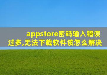 appstore密码输入错误过多,无法下载软件该怎么解决