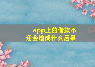 app上的借款不还会造成什么后果