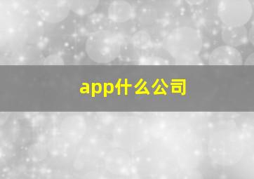 app什么公司