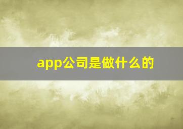 app公司是做什么的