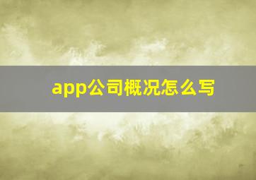 app公司概况怎么写