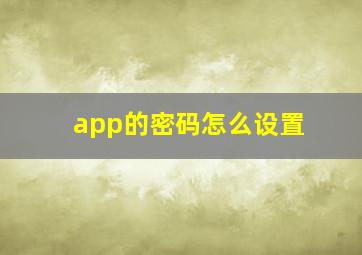 app的密码怎么设置