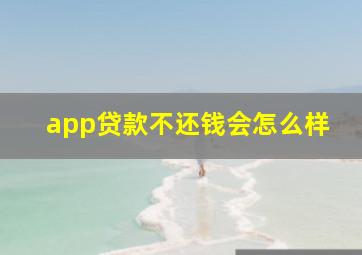 app贷款不还钱会怎么样