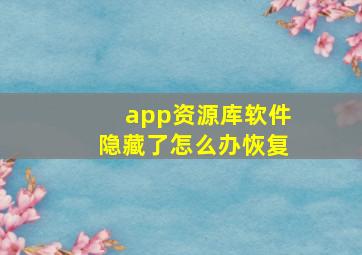 app资源库软件隐藏了怎么办恢复