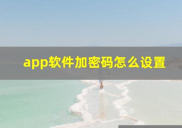 app软件加密码怎么设置