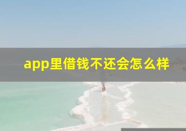 app里借钱不还会怎么样