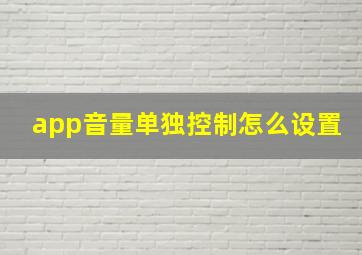 app音量单独控制怎么设置