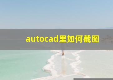 autocad里如何截图