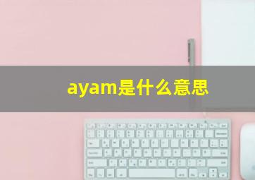 ayam是什么意思