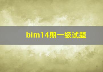 bim14期一级试题