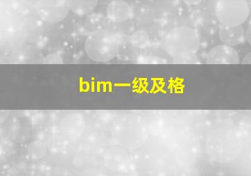 bim一级及格