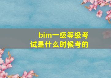 bim一级等级考试是什么时候考的