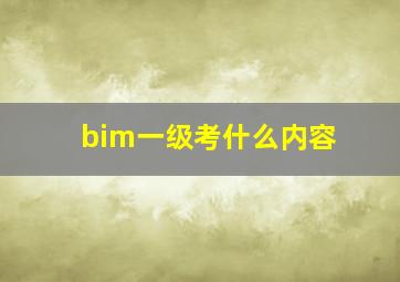 bim一级考什么内容