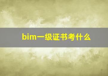 bim一级证书考什么