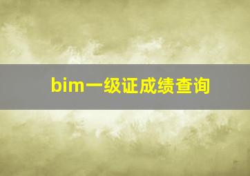 bim一级证成绩查询