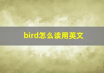 bird怎么读用英文