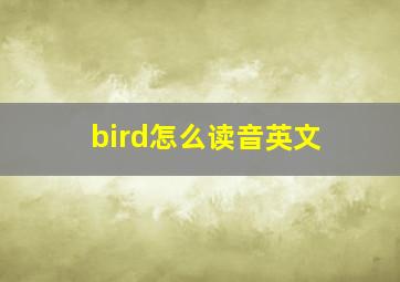 bird怎么读音英文