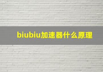 biubiu加速器什么原理