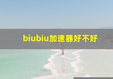 biubiu加速器好不好