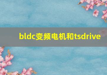 bldc变频电机和tsdrive